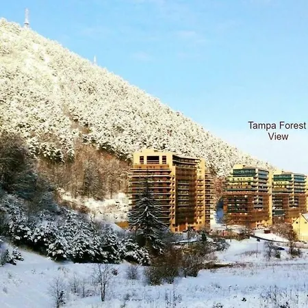 Tampa Forest View * Брашов