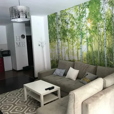 Tampa Forest View * Брашов