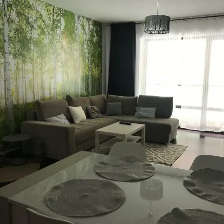 Tampa Forest View Апартаменти Брашов