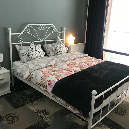 Tampa Forest View Апартаменти Брашов
