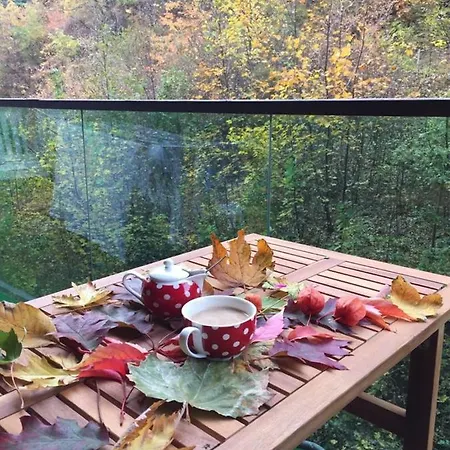 Tampa Forest View Апартаменти *