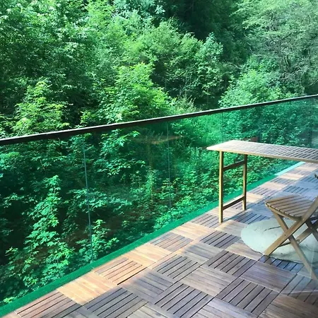Апартаменти Tampa Forest View Брашов