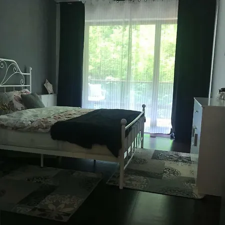Tampa Forest View * Брашов